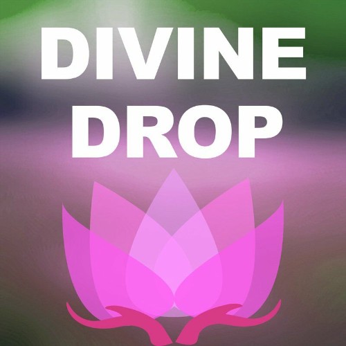 Divine Drop - Mood (2022)