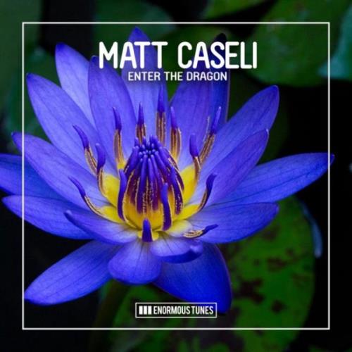 VA - Matt Caseli - Enter the Dragon (2022) (MP3)