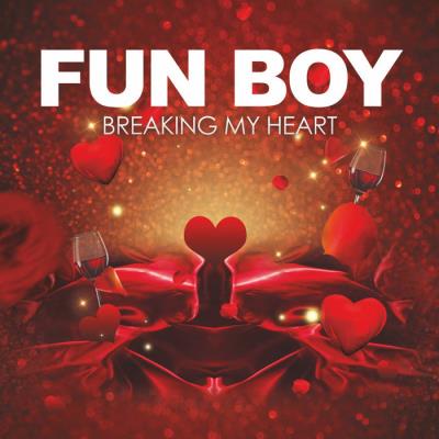VA - Fun Boy - Breaking My Heart (2022) (MP3)
