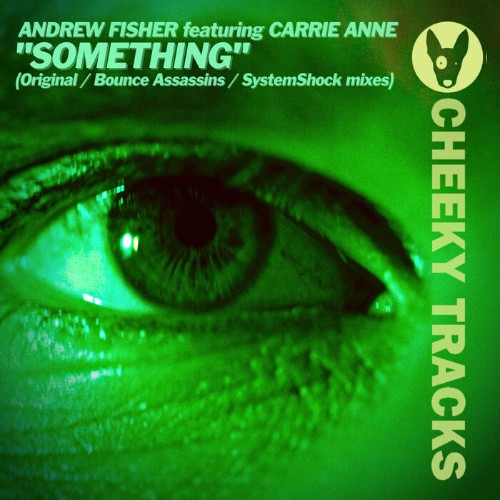 Andrew Fisher feat Carrie Anne - Something (2022)