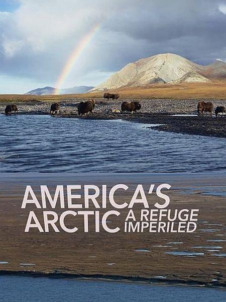   -     / Americas Arctic  A Refuge Imperiled (2020) HDTVRip 720p
