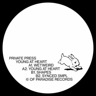 VA - Private Press - Young At Heart (2022) (MP3)