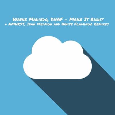 VA - Wayne Madiedo & DHAF - Make It Right (2022) (MP3)