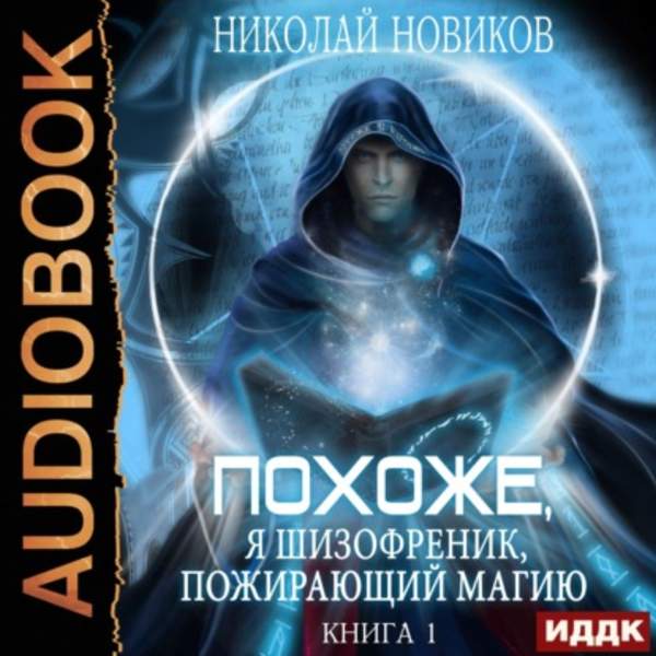 Николай Новиков - Похоже, я шизофреник, пожирающий магию. Книга 1 (Аудиокнига)