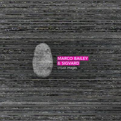 VA - Marco Bailey & Sigvard - Unjust Images EP (2022) (MP3)