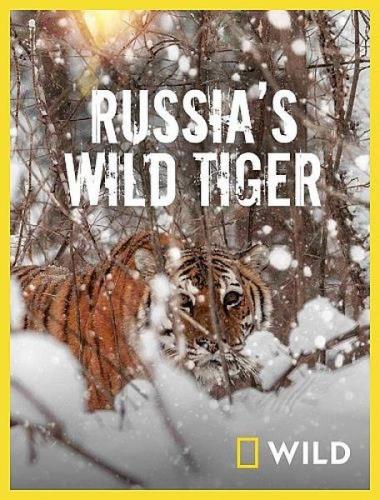 Дикие тигры России / Russia's Wild Tiger (2022) HDTV 1080i