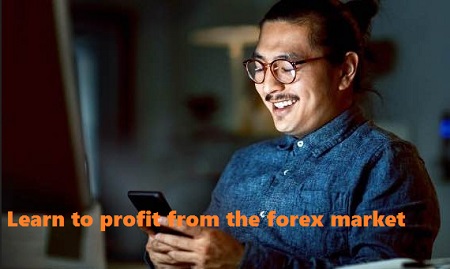 FX Hustle - Learn To Profit From The Forex Market