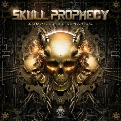 VA - Multidimensional Music - Skull Prophecy (2022) (MP3)