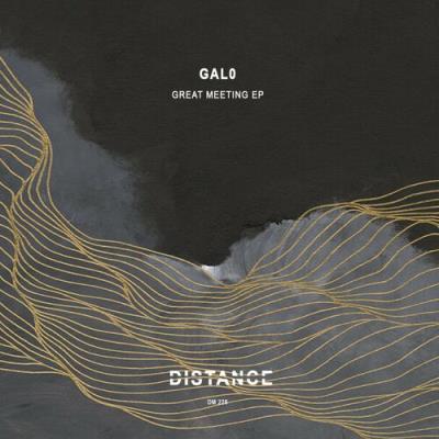 VA - Gal0 - Great Meeting EP (2022) (MP3)