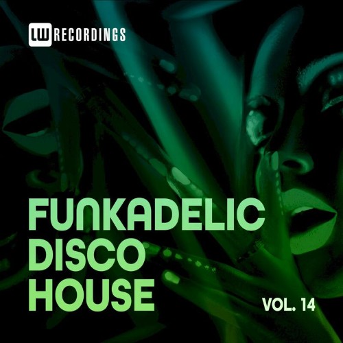 VA - Funkadelic Disco House, 14 (2022) (MP3)