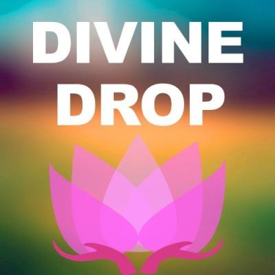 VA - Divine Drop - New Leaf (2022) (MP3)