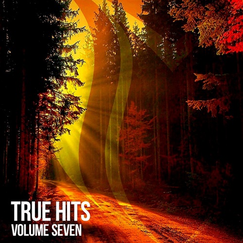 VA - True Hits Vol 7 (2022)