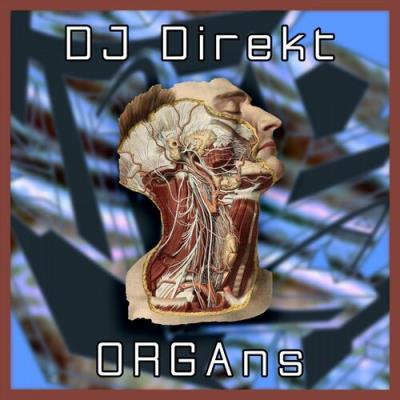 VA - DJ Direkt - ORGAns (2022) (MP3)