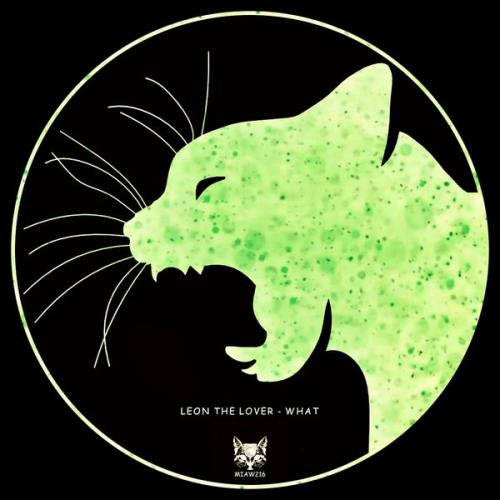 VA - Leon the Lover - What (2022) (MP3)