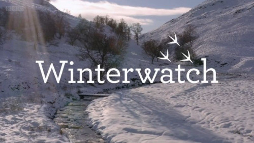BBC - Winterwatch Extras (2022)