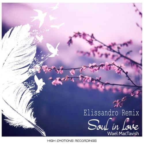 VA - Wael MacTaviSh - Soul in Love (Elissandro Remix) (2022) (MP3)
