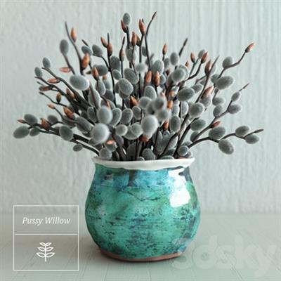 Pussy Willow Bouquet