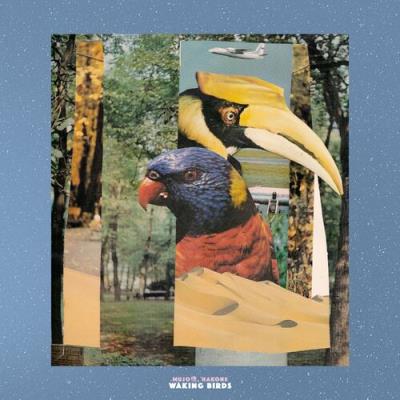 VA - Mujo & Hakone - Waking Birds (2022) (MP3)