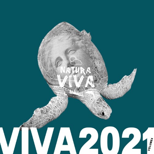 VA - Viva 2021.4 (2022) (MP3)