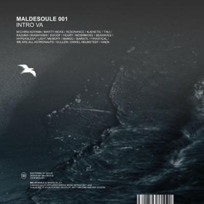 VA - swoof - Maldesoule 001 (2022) (MP3)