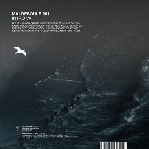 VA - swoof - Maldesoule 001 (2022) (MP3)