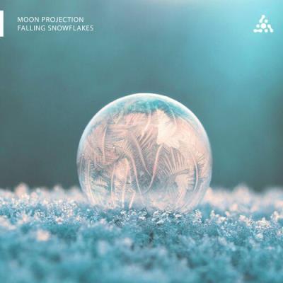 VA - Moon Projection - Falling Snowflakes (2022) (MP3)