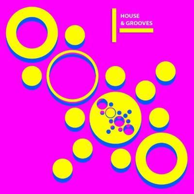 VA - Topos Bikini - House & Grooves (2022) (MP3)