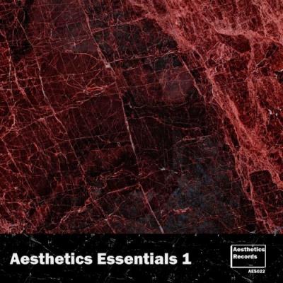 VA - Aesthetics Essentials 1 (2022) (MP3)