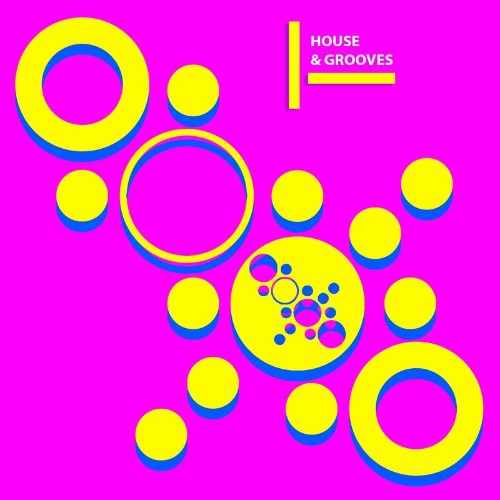 VA - Topos Bikini - House & Grooves (2022) (MP3)