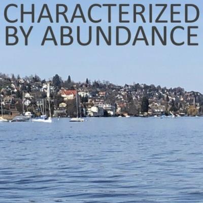 VA - Characterized by Abundance (2022) (MP3)