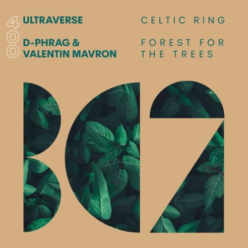 VA - Ultraverse - Celtic Ring (2022) (MP3)