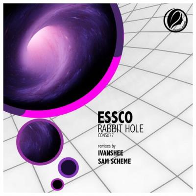 VA - Essco - Rabbit Hole (2022) (MP3)