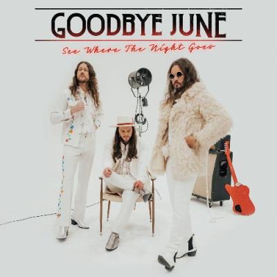 VA - Goodbye June - See Where The Night Goes (2022) (MP3)