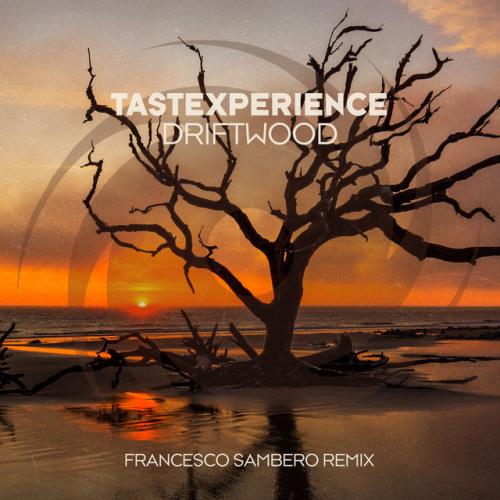 VA - Tastexperience - Driftwood (Francesco Sambero Remix) (2022) (MP3)