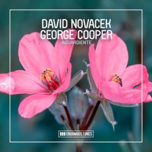 David Novacek & George Cooper - Aguardiente (2022)