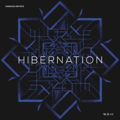 VA - Air Music - Hibernation (2022) (MP3)