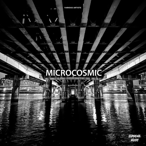 VA - Supreme Music - Microcosmic (2022) (MP3)