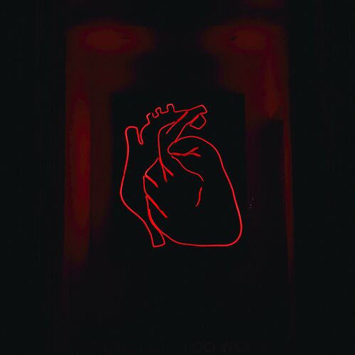 VA - Felix Raymon & Invadhertz - Heartless EP (2022) (MP3)