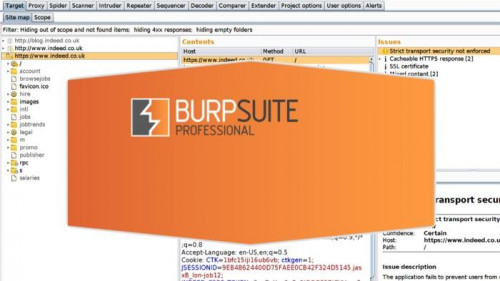 Burp Suite Pro 2021