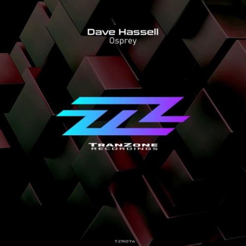 VA - Dave Hassell - Osprey (2022) (MP3)