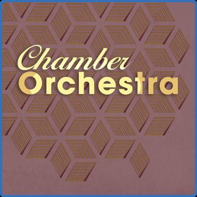 Various Artists   Chamber Orchestra (2022)