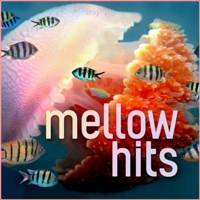 Various Artists   Mellow Hits (2022) Mp3 320kbps