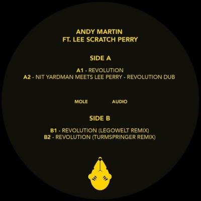 VA - Andy Martin Ft. Lee Scratch Perry - Revolution (2022) (MP3)