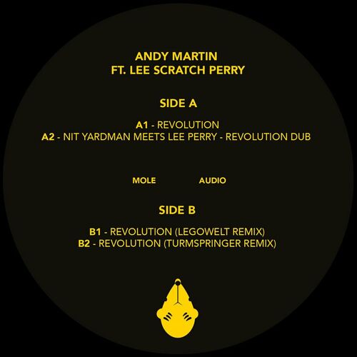 VA - Andy Martin Ft. Lee Scratch Perry - Revolution (2022) (MP3)