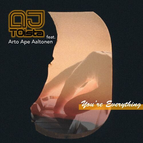 VA - DJ TOista - You're Everything (2022) (MP3)