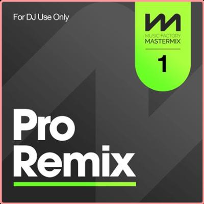 Various Artists   Mastermix Pro Remix vol 1 (2022) Mp3 320kbps