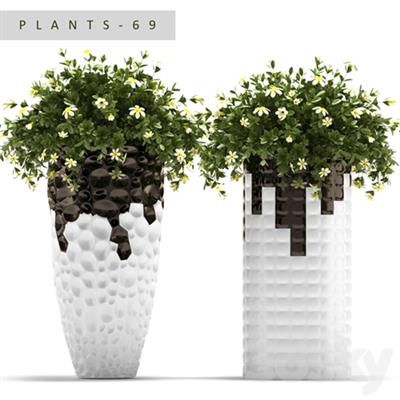 PLANTS 69