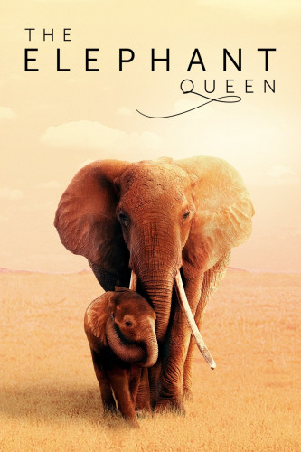   / The Elephant Queen (2019) WEB-DL-HEVC 2160p | SDI Media