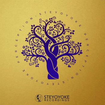 VA - Steyoyoke Perception Vol 09 (2022) (MP3)