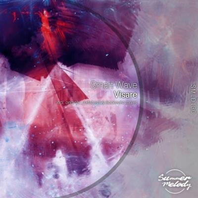 VA - Smart Wave - Visare (2022) (MP3)